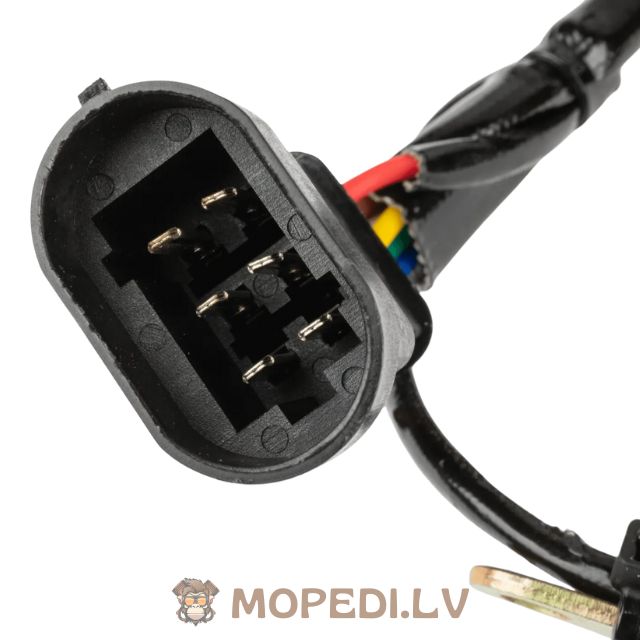 Uždegimo statorius Piaggio po 1999 m.