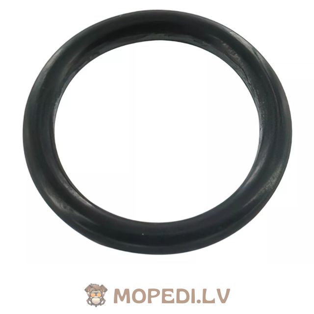 Vandens siurblio O žiedas į karterį „Piaggio“