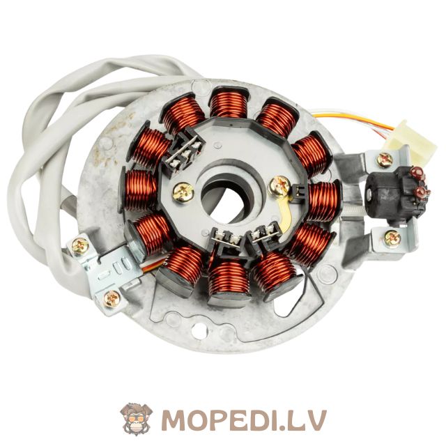 Ignition Minarelli vertical from 2004