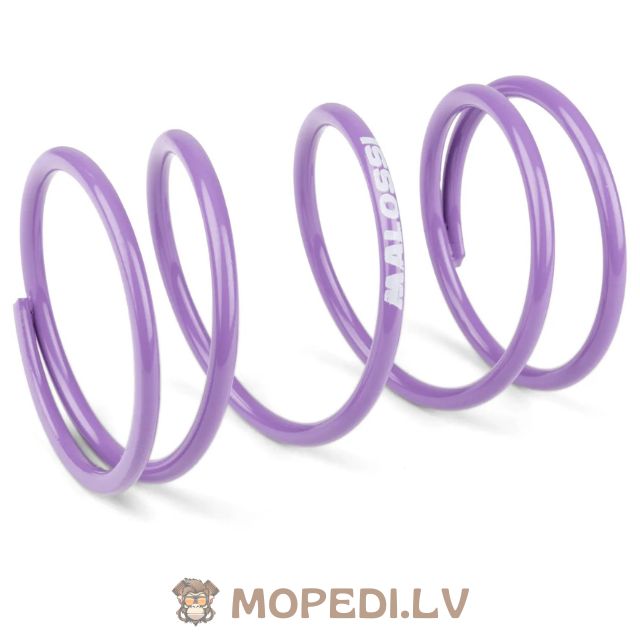 Malossi sukimo momentas Spring purple (+82%) Piaggio
