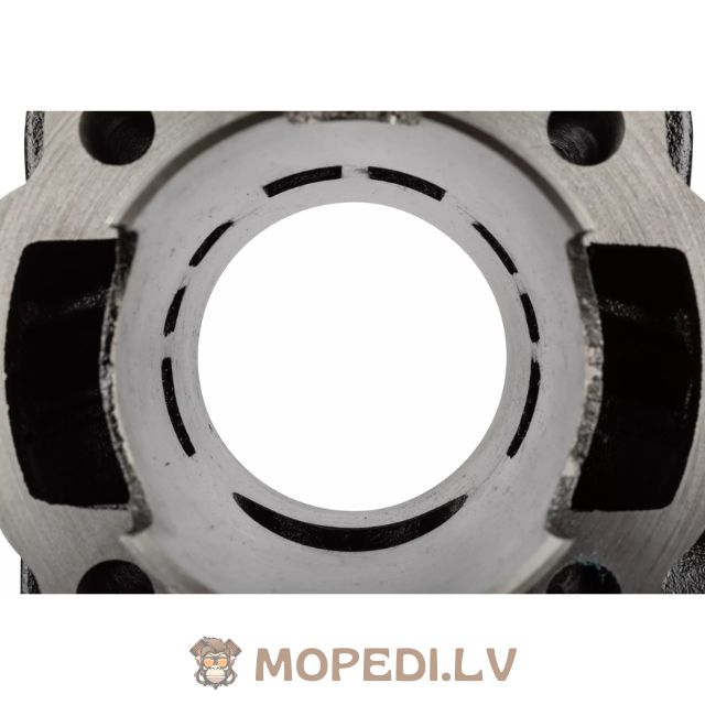 MotoForce Racing 70cc Minarelli horizontalus LC