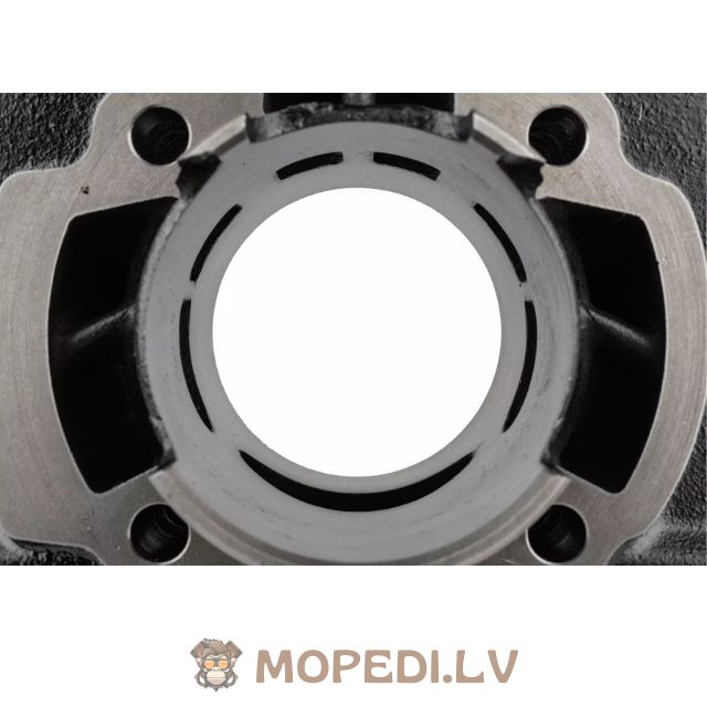 „Stage6 Streetrace“ 70cc ketaus „Piaggio AC“