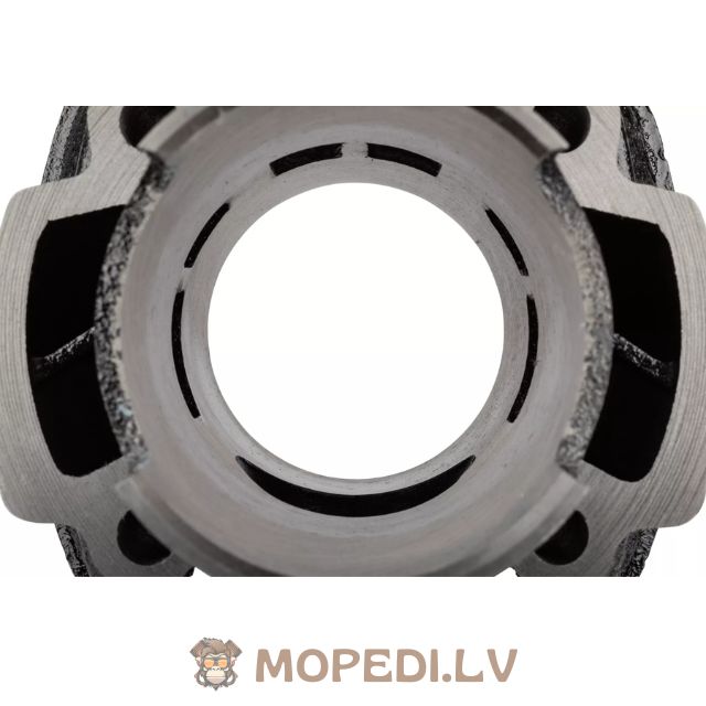 „MotoForce Racing“ 70cc ketaus „Piaggio LC“