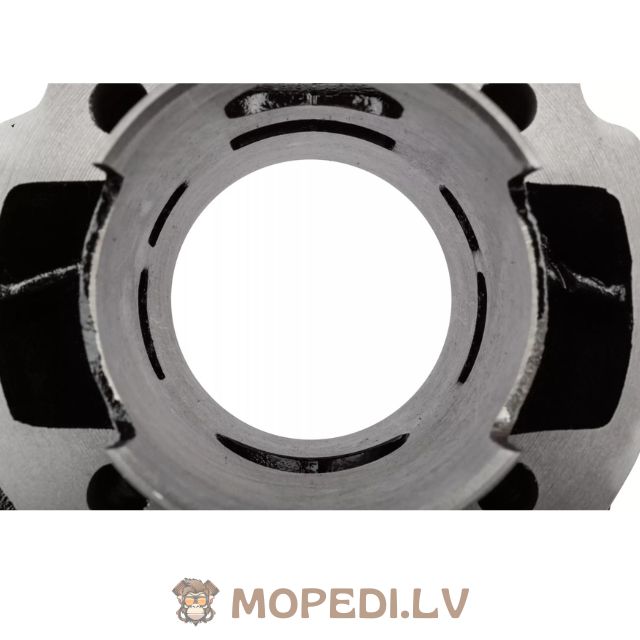 „MotoForce Racing“ 70cc ketaus „Minarelli“ vertikalus kintamosios srovės variklis