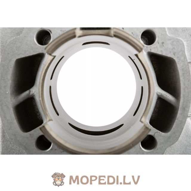 „Airsal Sport 70cc“ aliumininis „Peugeot“ vertikalus oro kondicionierius