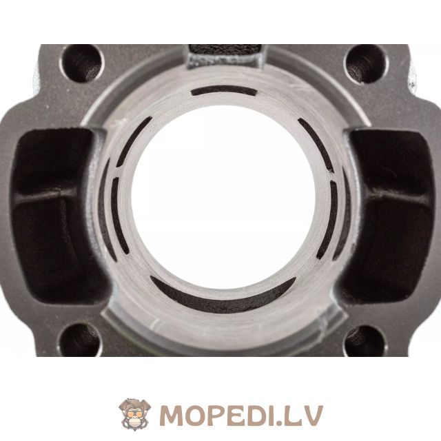 Airsal Sport 70cc ketaus Minarelli AM6