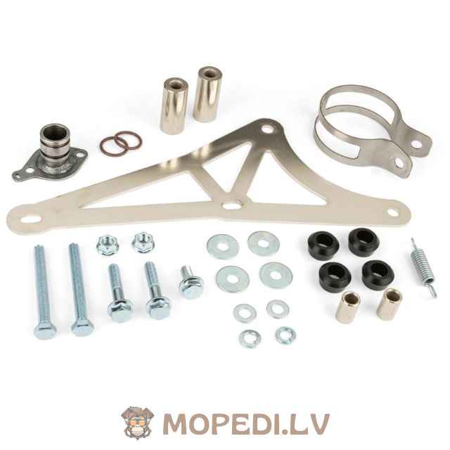 Yasuni R Piaggio Purple