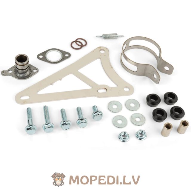 Yasuni R-Pro Minarelli horizontal Purple