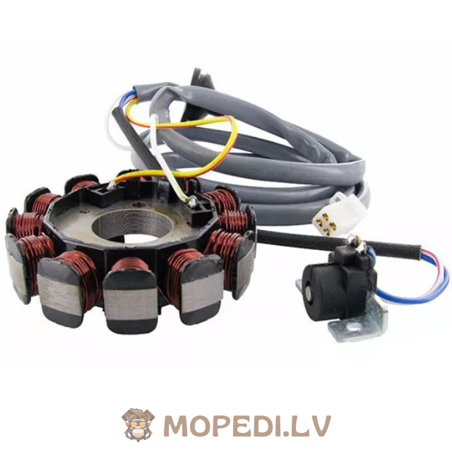 Uždegimo statorius Minarelli po 2004 m.