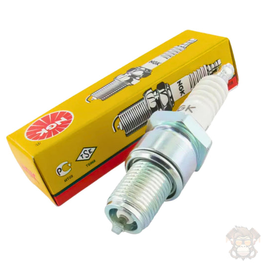 Spark Plug NGK B8ES (2411)