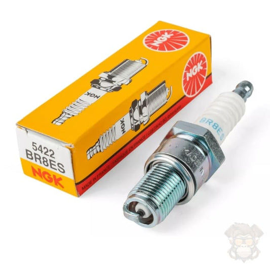 Spark Plug NGK BR8ES (5422)