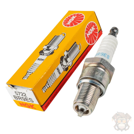Spark Plug NGK BR9ES (5722)