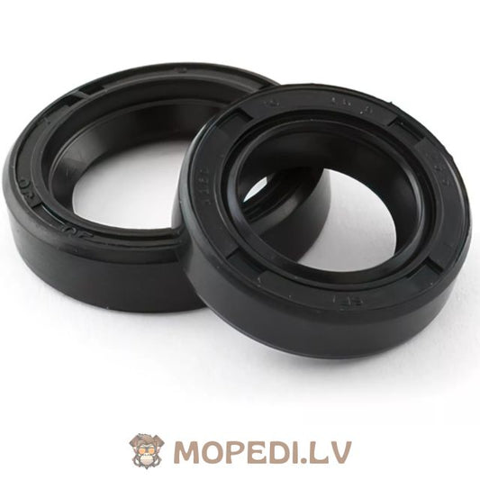 Piaggio Oil Seals for crankshaft