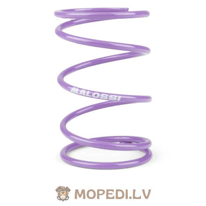 Malossi sukimo momentas Spring purple (+82%) Piaggio
