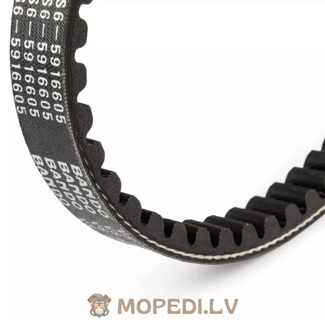 Stage6 PRO pavaros diržas sustiprintas Minarelli ilgas