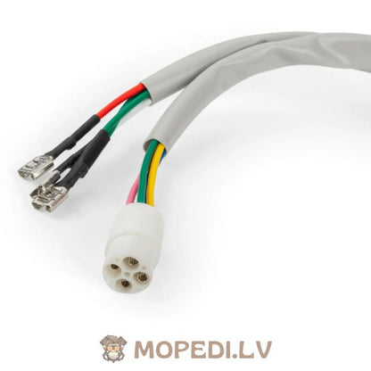 Ignition Stator Piaggio before 1998