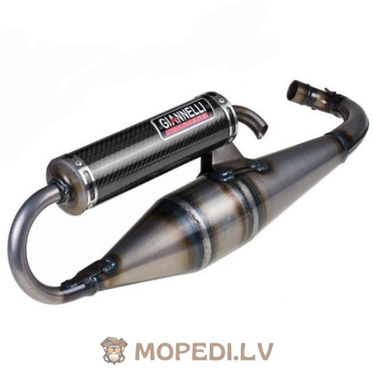 Giannelli Shot V4 Piaggio
