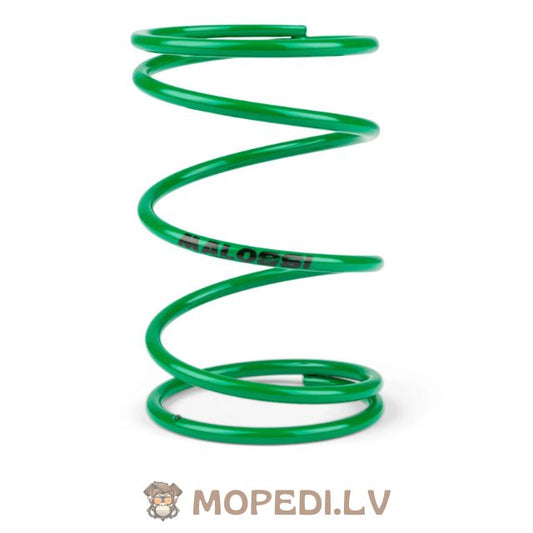 Torque Spring Malossi green (+60%) Piaggio NRG / Typhoon / Peugeot