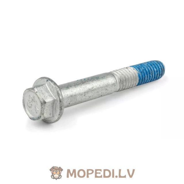 Screw M6x40mm gearbox cover Piaggio