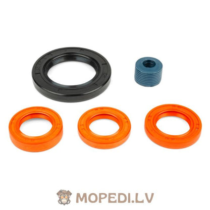 Oil Seal Kit engine Stage6 Piaggio