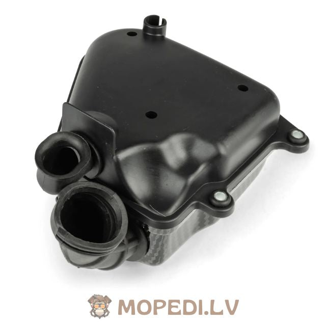 Airbox Minarelli horizontal Carbon Look