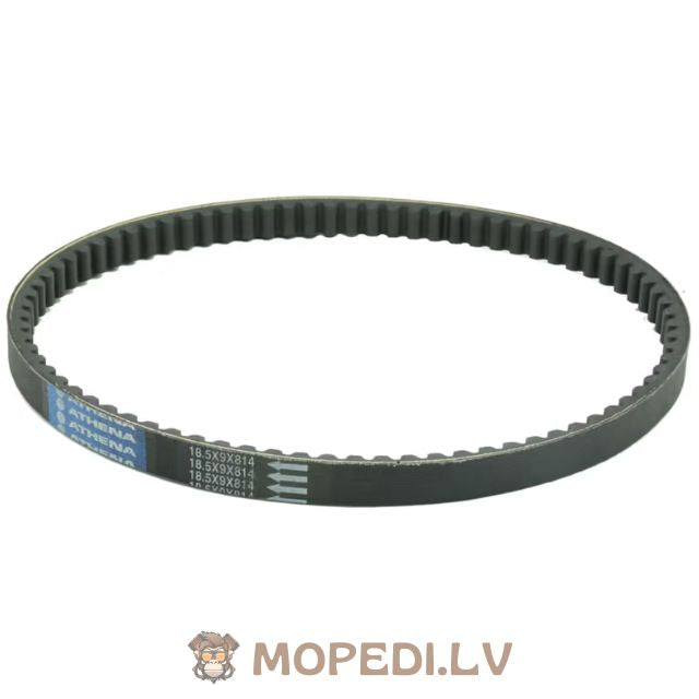 Drive Belt Athena Piaggio Long