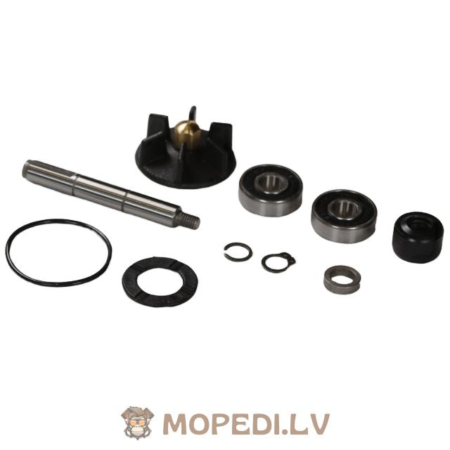 RMS Water Pump Repair Kit Piaggio
