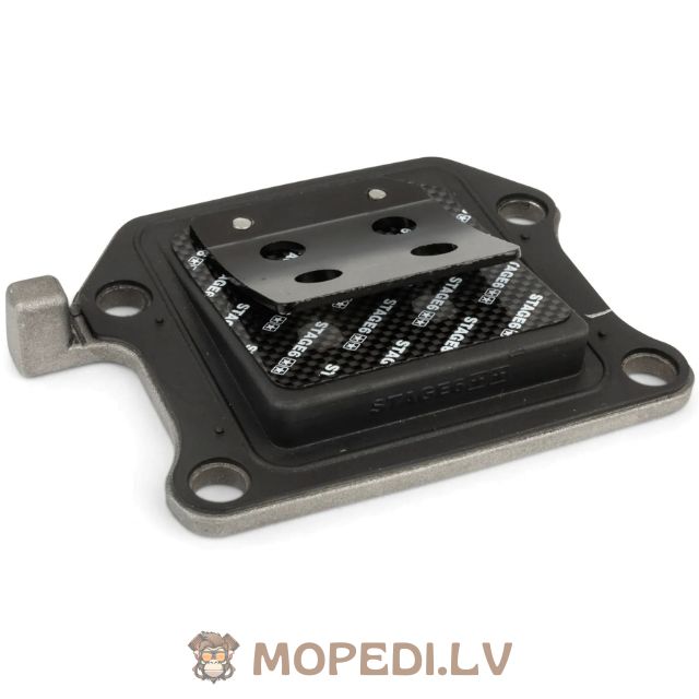 Nendrinis vožtuvas Stage6 Viton® Minarelli vertikalus