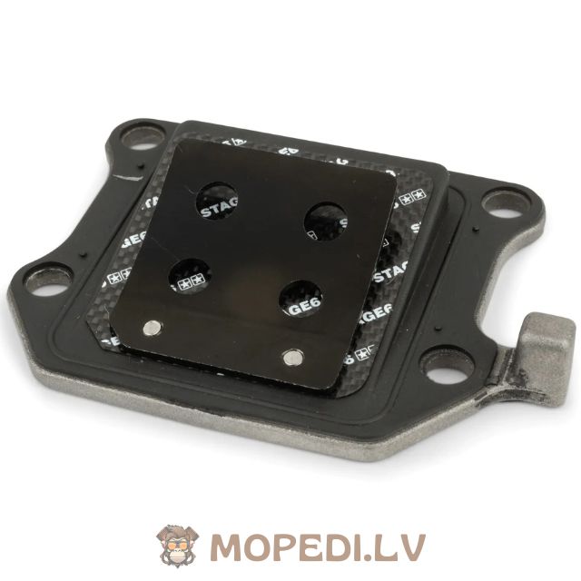 Nendrinis vožtuvas Stage6 Viton® Minarelli vertikalus