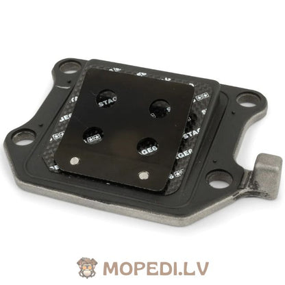 Nendrinis vožtuvas Stage6 Viton® Minarelli vertikalus