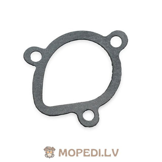 Water Pump Gasket Derbi Euro 2 (EBE / EBS)