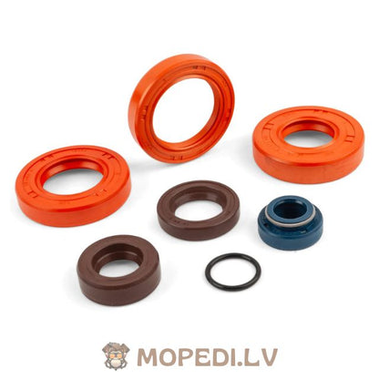 Oil Seal Kit engine Stage6 AM6