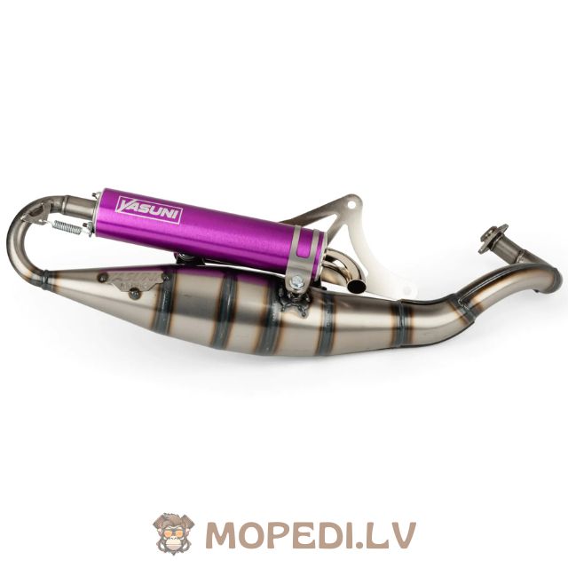 Yasuni R Piaggio Purple