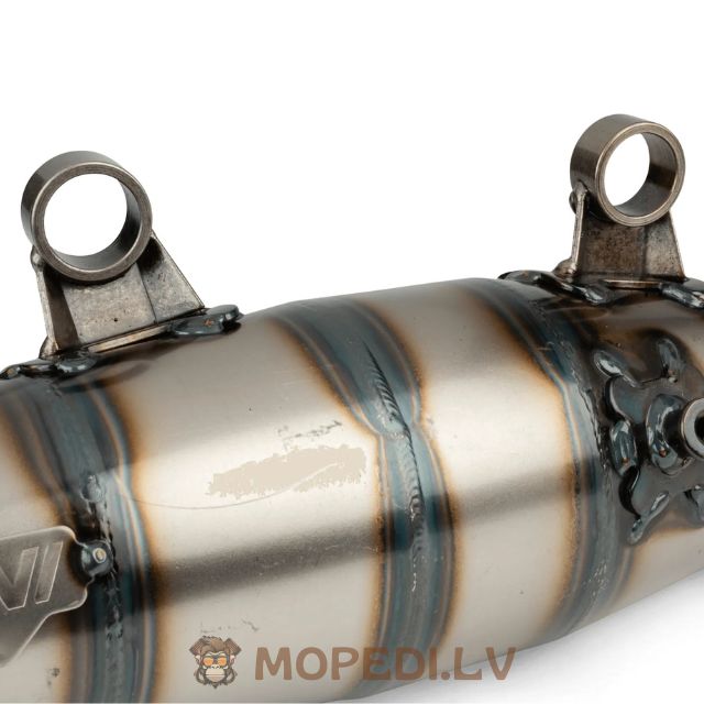 Yasuni R Piaggio Purple