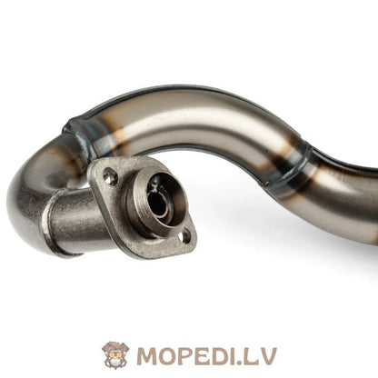 Yasuni R Piaggio Purple