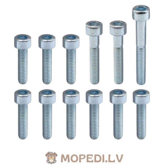 CVT dangtelio varžtų komplektas, cinkuotas plienas Minarelli