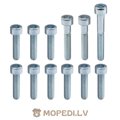 CVT dangtelio varžtų komplektas, cinkuotas plienas Minarelli