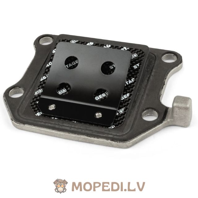 Nendrinis vožtuvas Stage6 Viton® Minarelli vertikalus