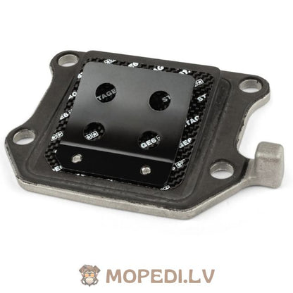 Nendrinis vožtuvas Stage6 Viton® Minarelli vertikalus