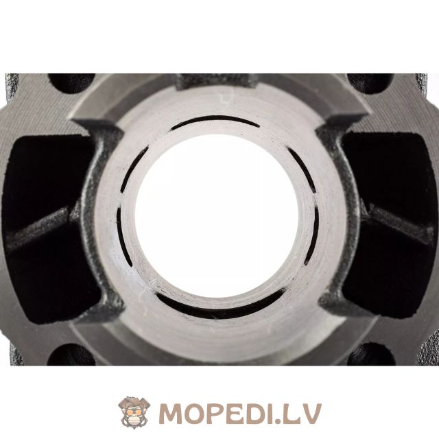Cylinder Kit 50cc Minarelli horizontal LC 10mm pin