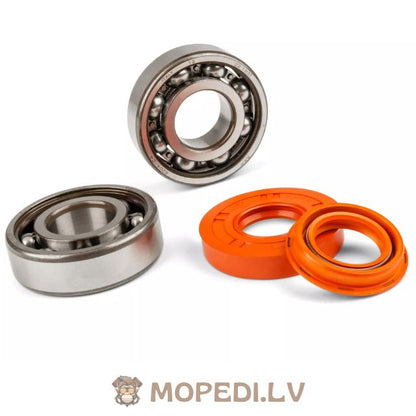 Stage6 R/T C4 alkūninio veleno guolių komplektas su plieniniu narvu Minarelli horizontaliai / vertikaliai