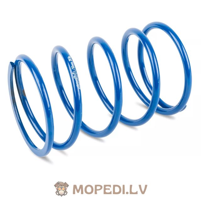 CVT Variator Polini Hi Speed Evo 2 Piaggio