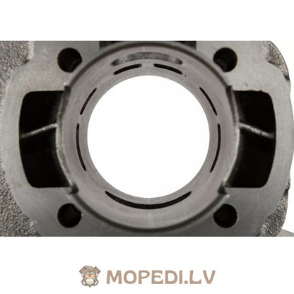 Malossi Sport 70cc ketaus kaištis=10mm Minarelli Vertical