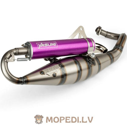 Yasuni R Piaggio Purple