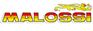 https://qpfd8r-tj.myshopify.com/collections/malossi
